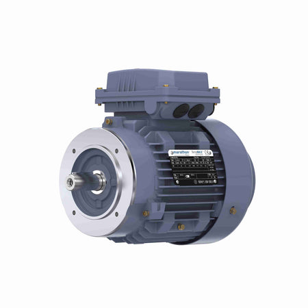 Marathon Electric Cast Iron Motor, 2 HP, 3 Ph, 50 Hz, 380 V, 3000 RPM, 90S Frame, TEFC