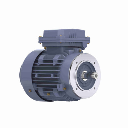 Marathon Electric Cast Iron Motor, 2 HP, 3 Ph, 50 Hz, 380 V, 1500 RPM, 90L Frame, TEFC