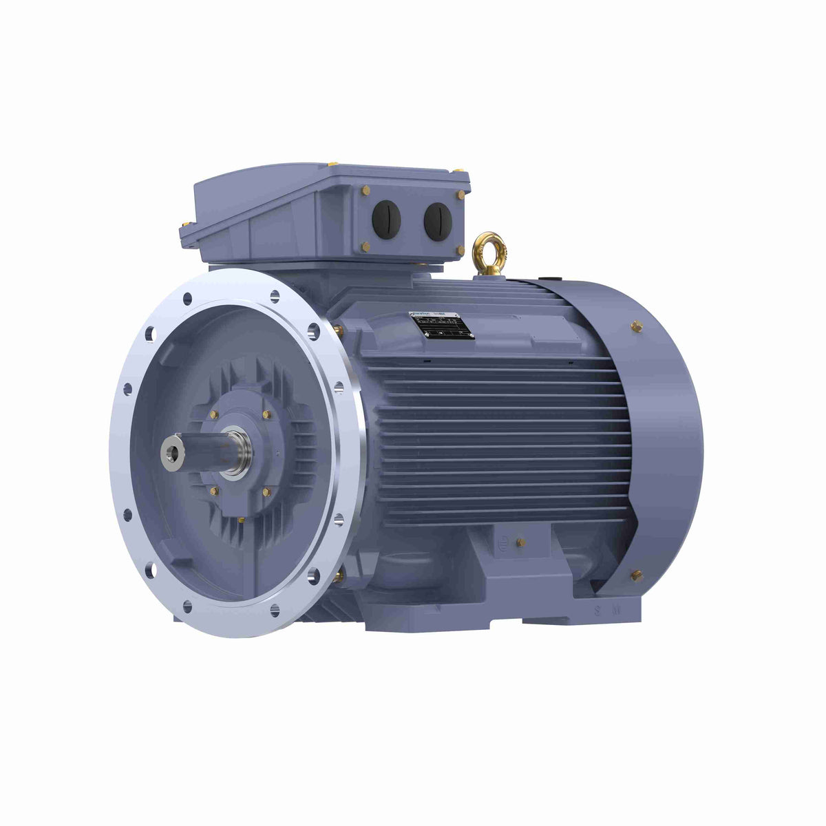 Marathon Electric Cast Iron Motor, 100 HP, 3 Ph, 50 Hz, 400 V, 1000 RPM, 315S Frame, TEFC