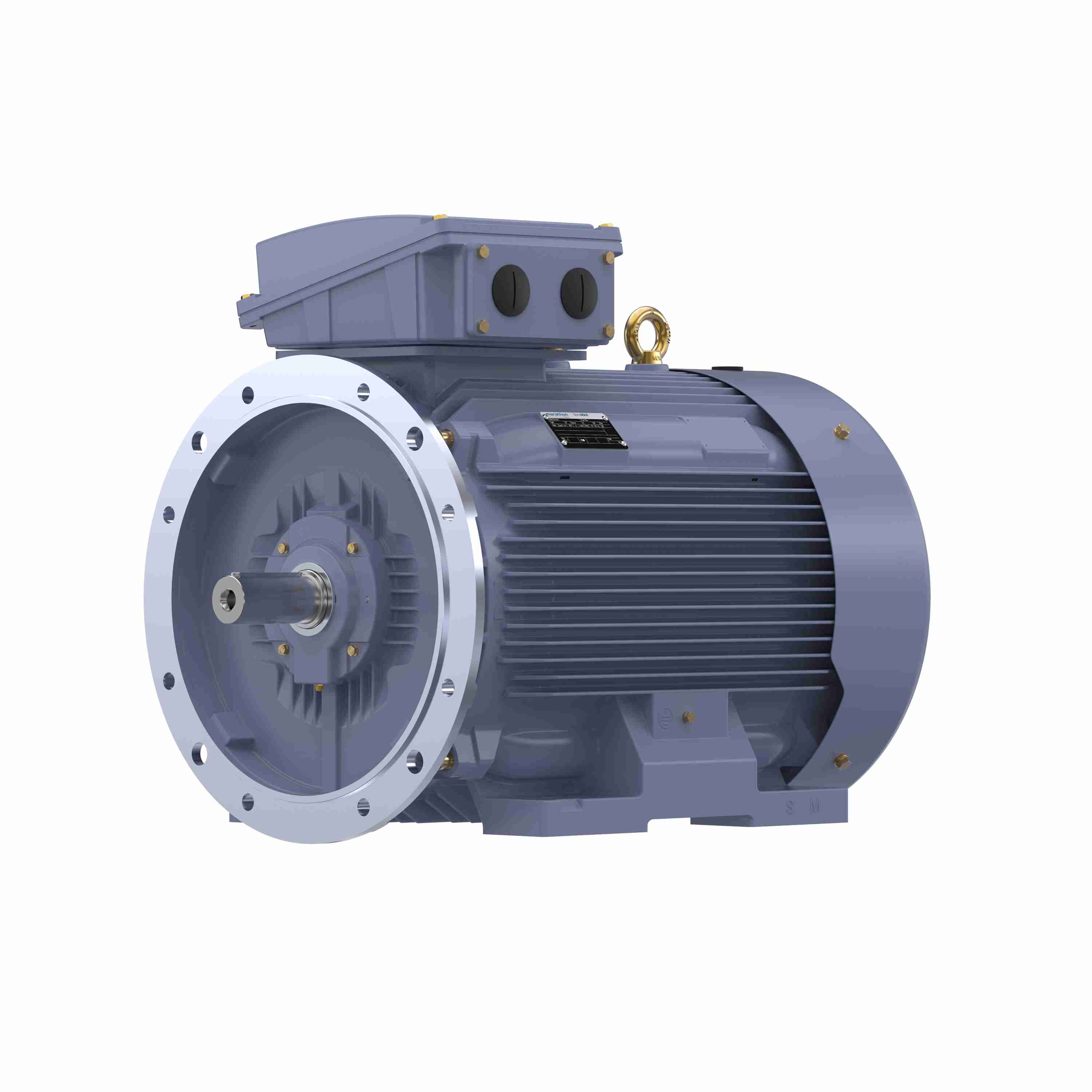Marathon Electric Cast Iron Motor, 100 HP, 3 Ph, 50 Hz, 400 V, 1000 RPM, 315S Frame, TEFC