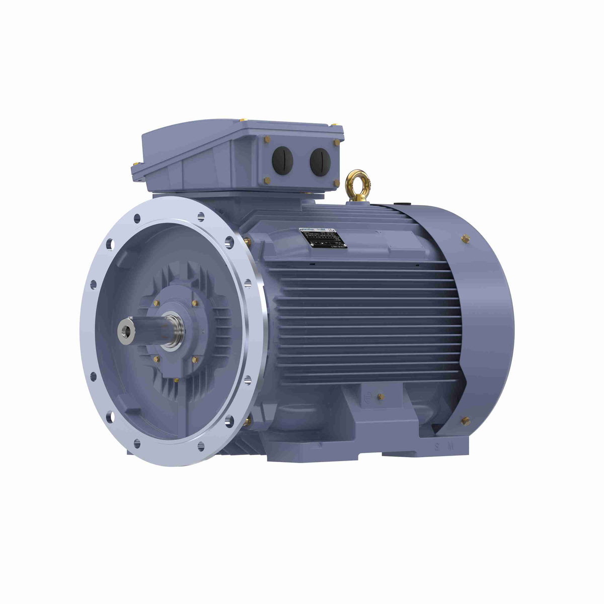 Marathon Electric Cast Iron Motor, 215 HP, 3 Ph, 50 Hz, 380 V, 3000 RPM, 315L Frame, TEFC