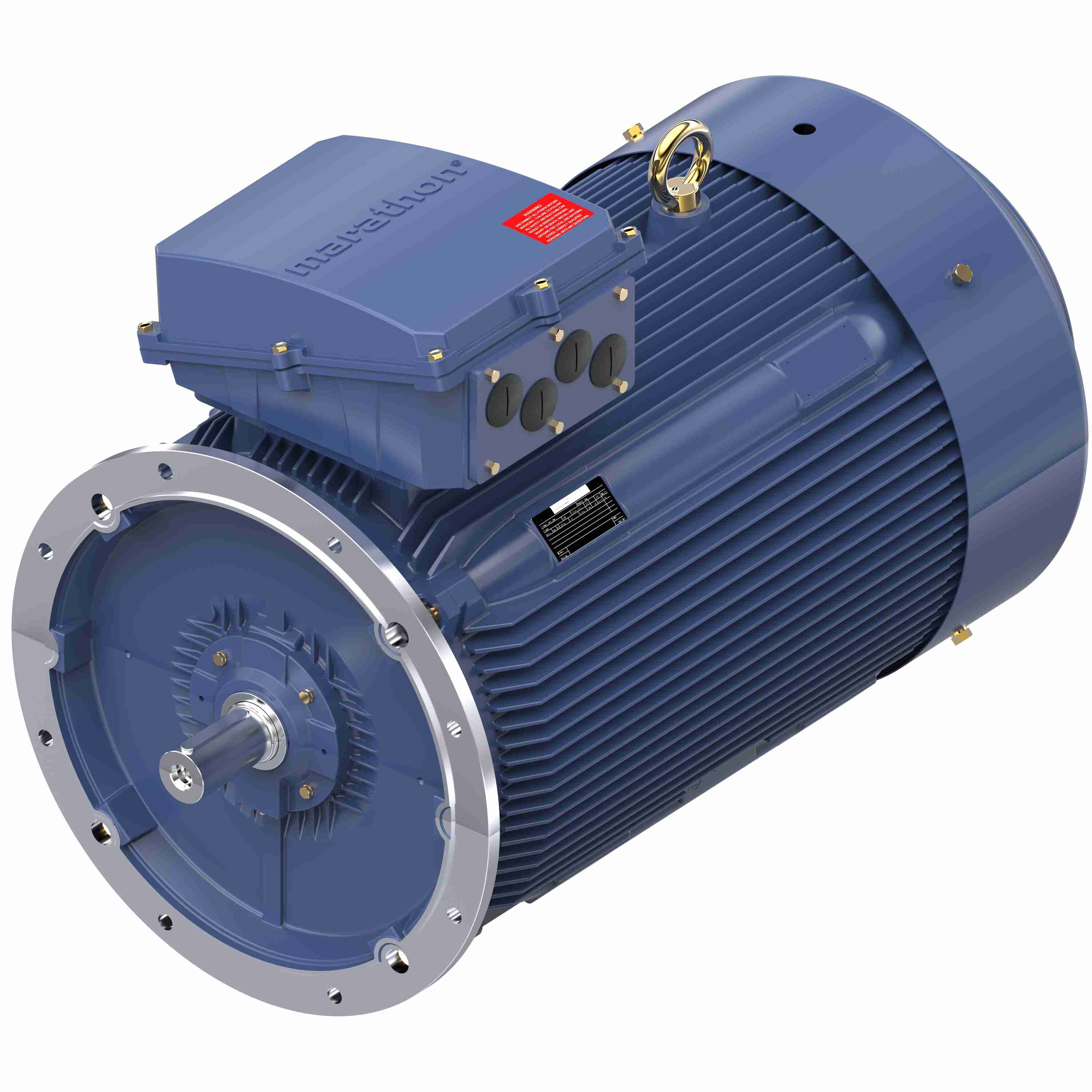 Marathon Electric Cast Iron Motor, 335 HP, 3 Ph, 50 Hz, 400 V, 3000 RPM, 355M Frame, TEFC