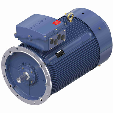Marathon Electric Cast Iron Motor, 335 HP, 3 Ph, 50 Hz, 400 V, 3000 RPM, 355M Frame, TEFC