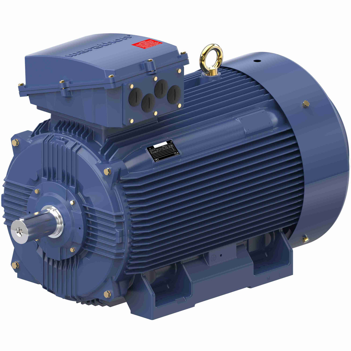 Marathon Electric Cast Iron Motor, 215 HP, 3 Ph, 50 Hz, 400 V, 1000 RPM, 355M Frame, TEFC