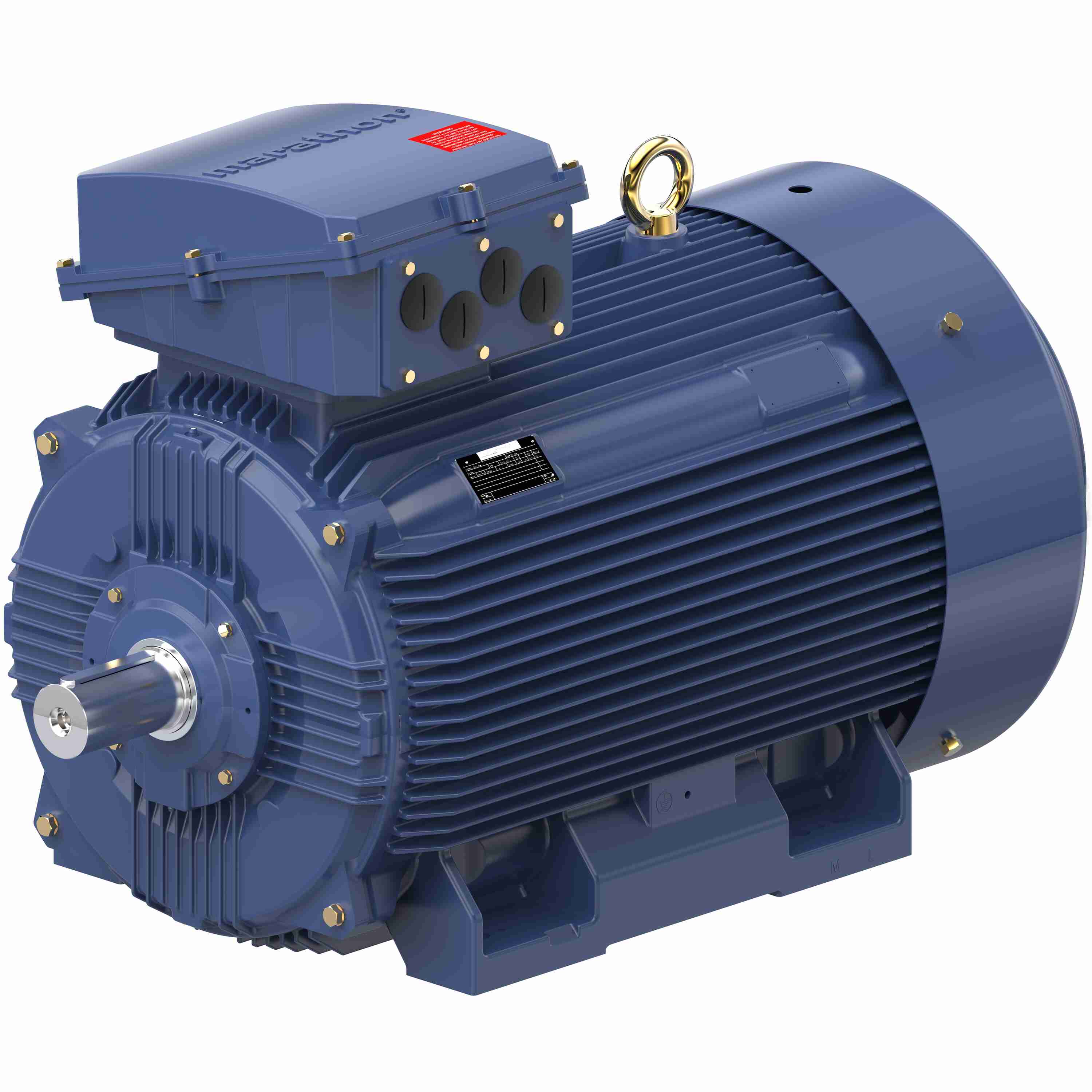 Marathon Electric Cast Iron Motor, 295 HP, 3 Ph, 50 Hz, 400 V, 750 RPM, 355L Frame, TEFC