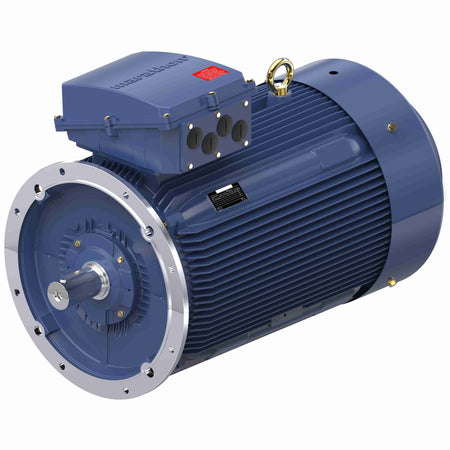 Marathon Electric Cast Iron Motor, 215 HP, 3 Ph, 50 Hz, 400 V, 750 RPM, 355M Frame, TEFC