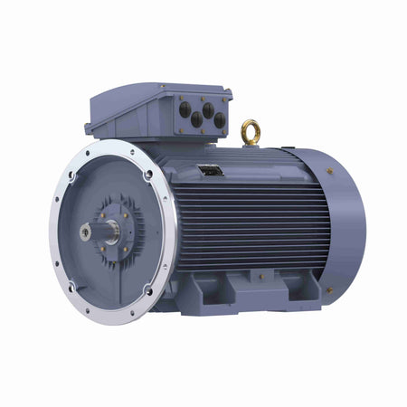 Marathon Electric Cast Iron Motor, 335 HP, 3 Ph, 50 Hz, 380 V, 3000 RPM, 355M Frame, TEFC