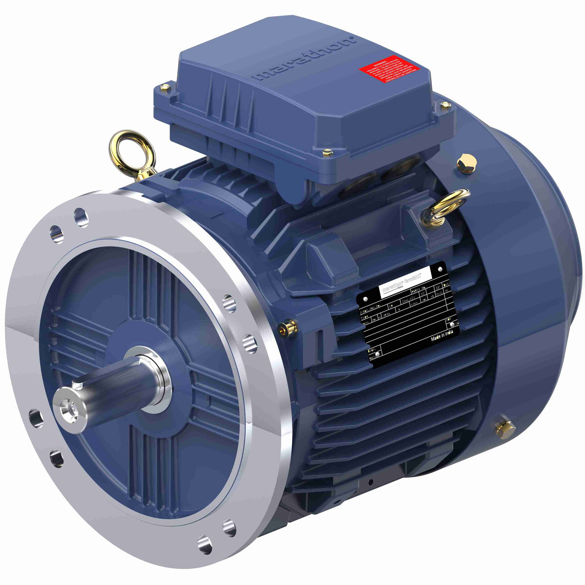 Marathon Electric Cast Iron Motor, 4 HP, 3 Ph, 50 Hz, 400 V, 1000 RPM, 132S Frame, TEFC