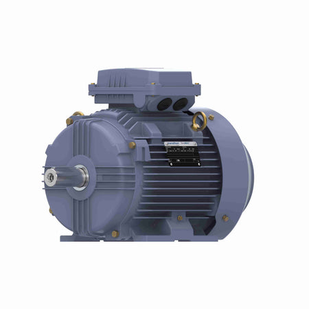 Marathon Electric IE3, 5.5kW, DUST IGNITION PROOF MOTORS, 3 phase, 4 Pole, 400V, 1468RPM, 50Hz, 89.6%, 132S Frame, TEFC
