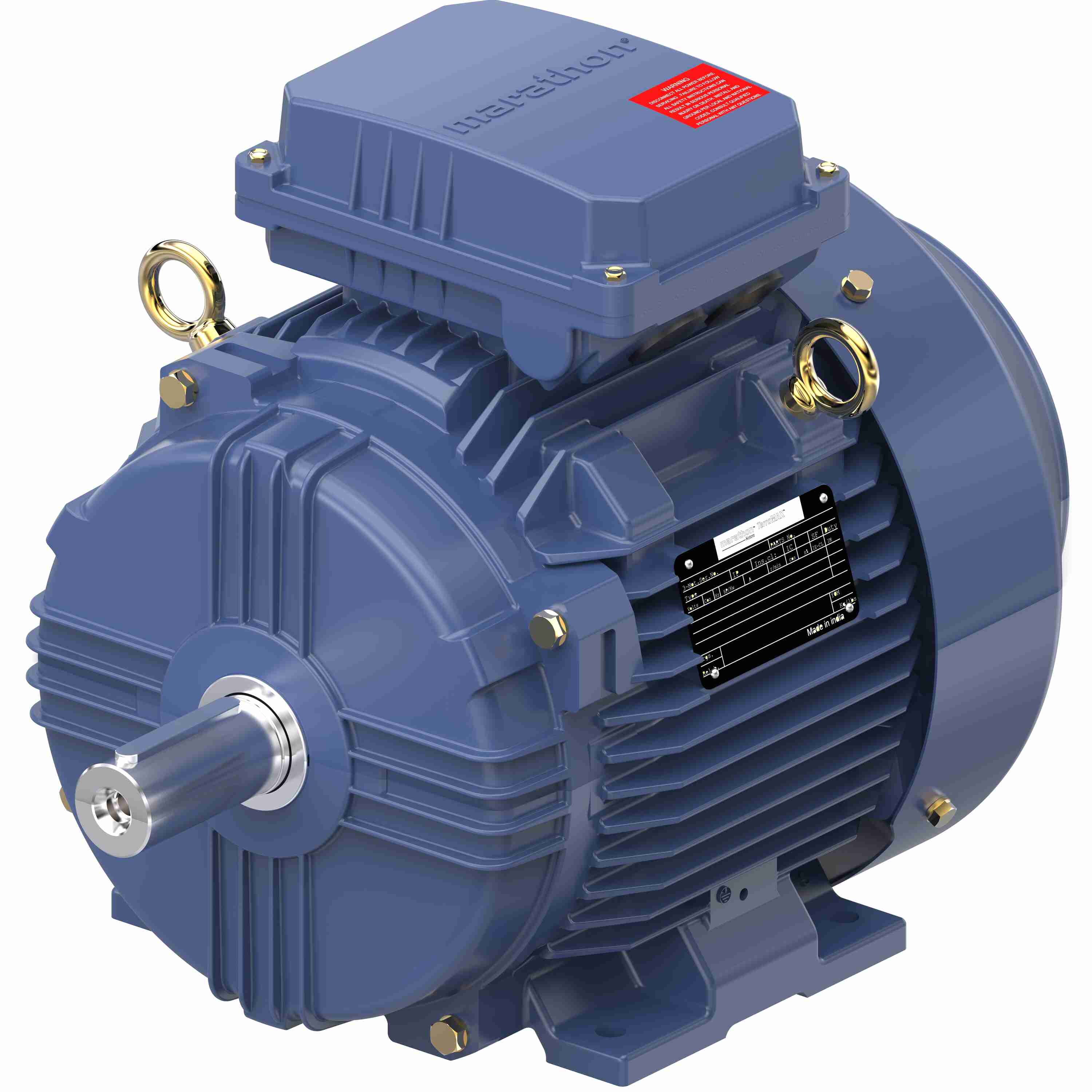 Marathon Electric Cast Iron Motor, 7.50 HP, 3 Ph, 50 Hz, 400 V, 1000 RPM, 132M Frame, TEFC
