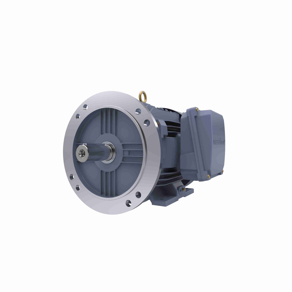 Marathon Electric Cast Iron Motor, 7.50 HP, 3 Ph, 50 Hz, 400 V, 1500 RPM, 132S Frame, TEFC