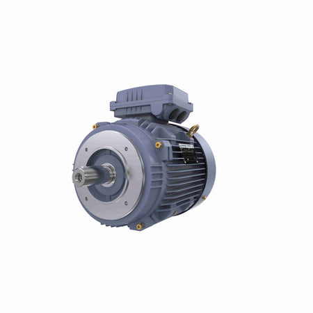 Marathon Electric Cast Iron Motor, 4 HP, 3 Ph, 50 Hz, 400 V, 1000 RPM, 132S Frame, TEFC