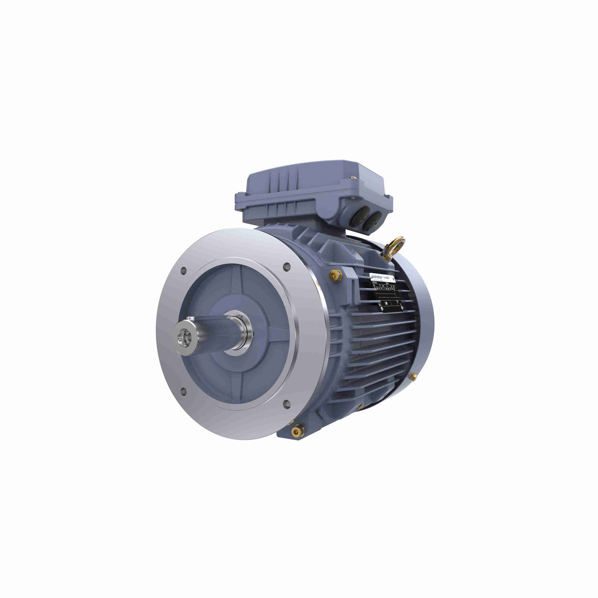 Marathon Electric Cast Iron Motor, 4 HP, 3 Ph, 50 Hz, 400 V, 1000 RPM, 132S Frame, TEFC