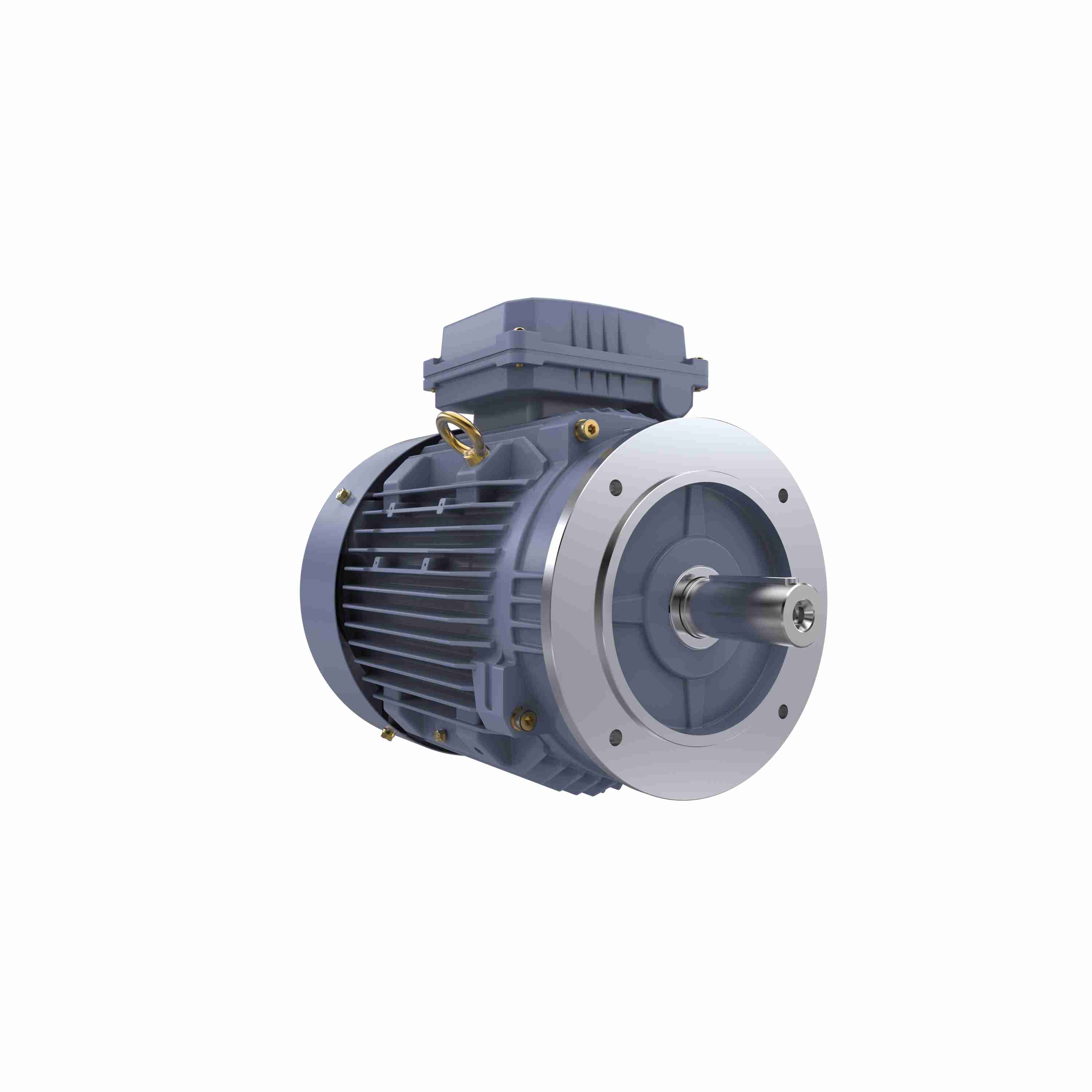 Marathon Electric Cast Iron Motor, 5.50 HP, 3 Ph, 50 Hz, 400 V, 1000 RPM, 132M Frame, TEFC