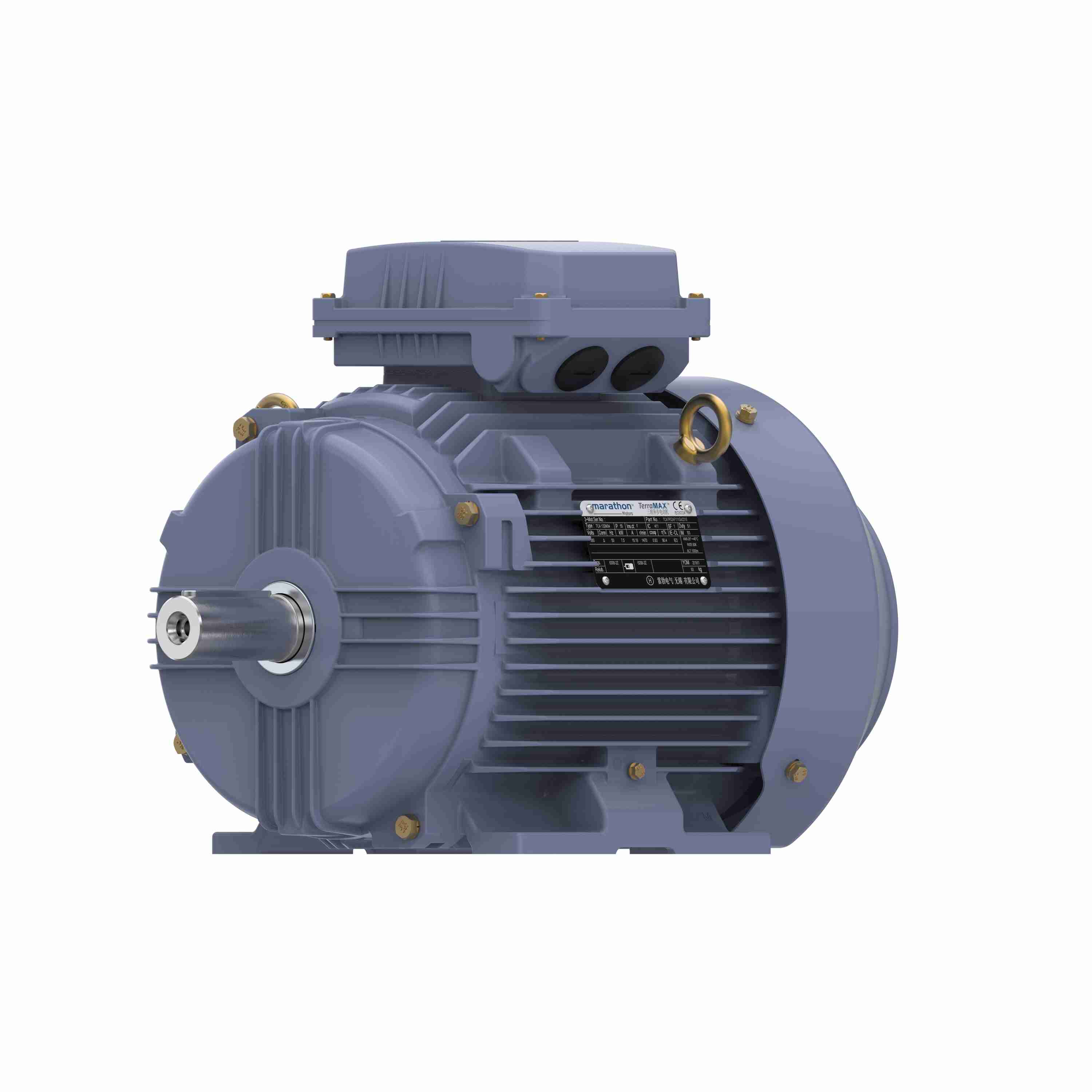 Marathon Electric Cast Iron Motor, 10 HP, 3 Ph, 50 Hz, 380 V, 3000 RPM, 132S Frame, TEFC