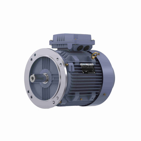 Marathon Electric Cast Iron Motor, 4 HP, 3 Ph, 50 Hz, 380 V, 1000 RPM, 132S Frame, TEFC