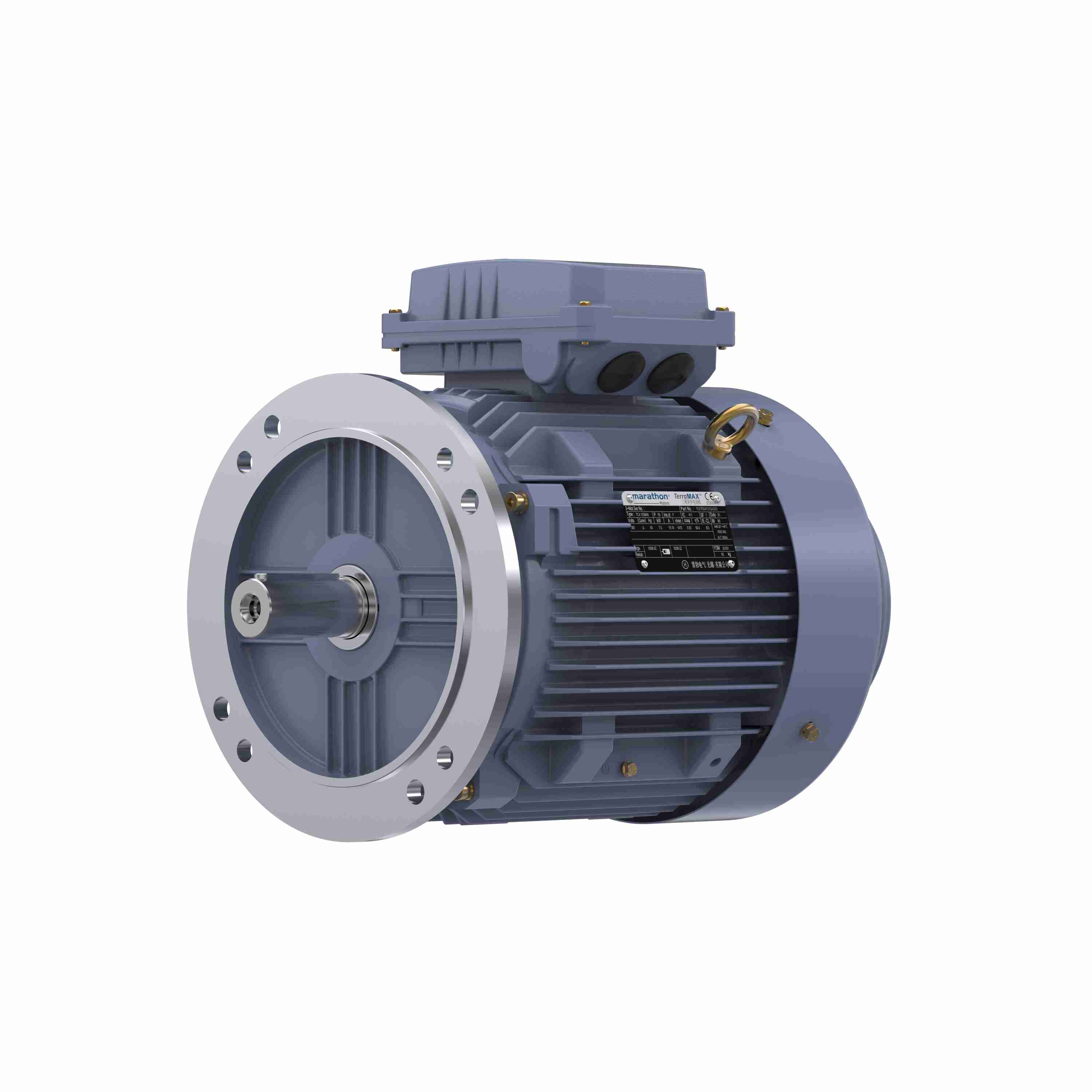 Marathon Electric Cast Iron Motor, 7.50 HP, 3 Ph, 50 Hz, 380 V, 1000 RPM, 132M Frame, TEFC