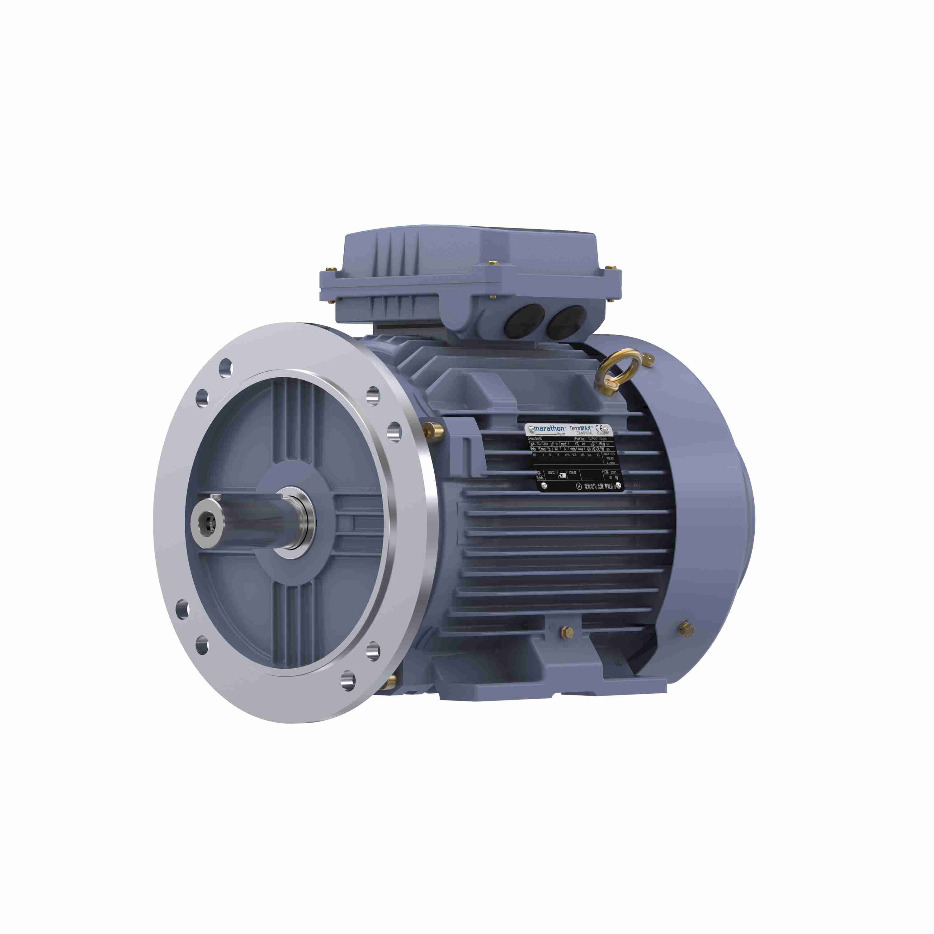 Marathon Electric Cast Iron Motor, 4 HP, 3 Ph, 50 Hz, 380 V, 1000 RPM, 132S Frame, TEFC