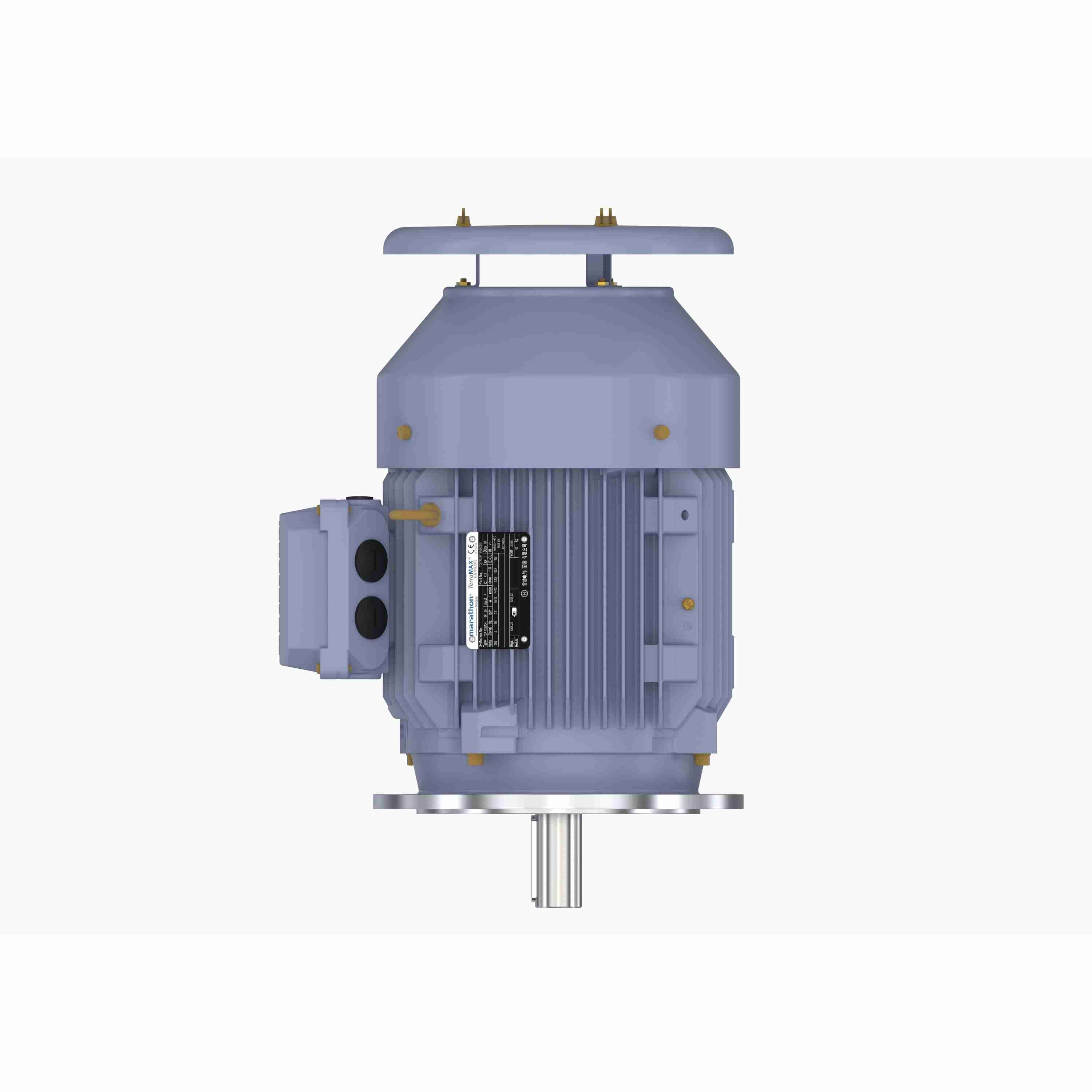 Marathon Electric Cast Iron Motor, 10 HP, 3 Ph, 50 Hz, 380 V, 1500 RPM, 132M Frame, TEFC