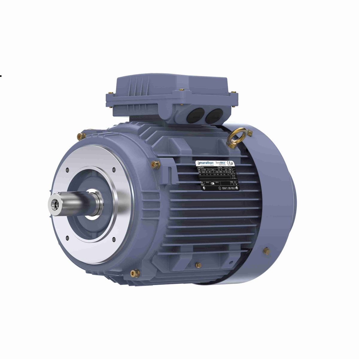 Marathon Electric Cast Iron Motor, 4 HP, 3 Ph, 50 Hz, 380 V, 1000 RPM, 132S Frame, TEFC