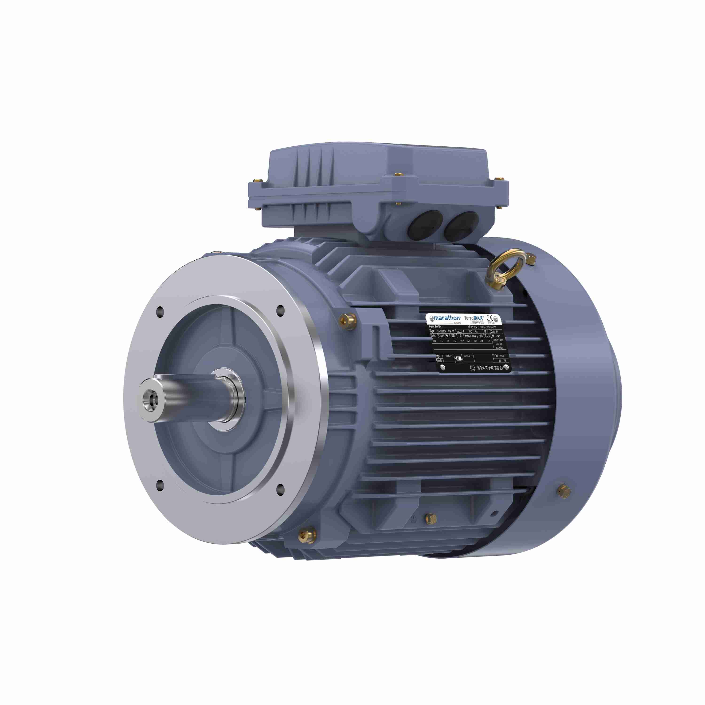 Marathon Electric Cast Iron Motor, 7.50 HP, 3 Ph, 50 Hz, 380 V, 3000 RPM, 132S Frame, TEFC