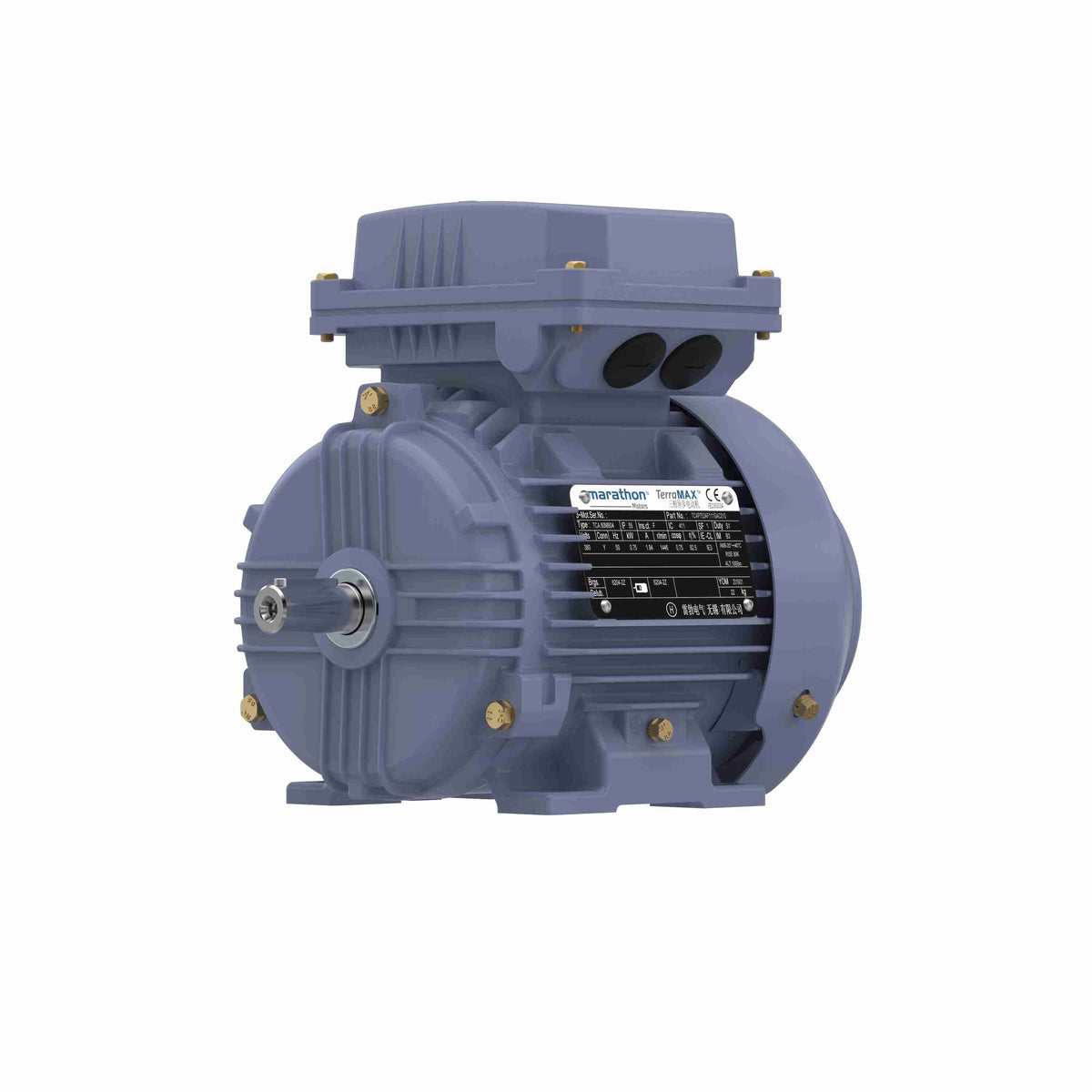 Marathon Electric Cast Iron Motor, 1 HP, 3 Ph, 50 Hz, 380 V, 3000 RPM, 80M Frame, TEFC