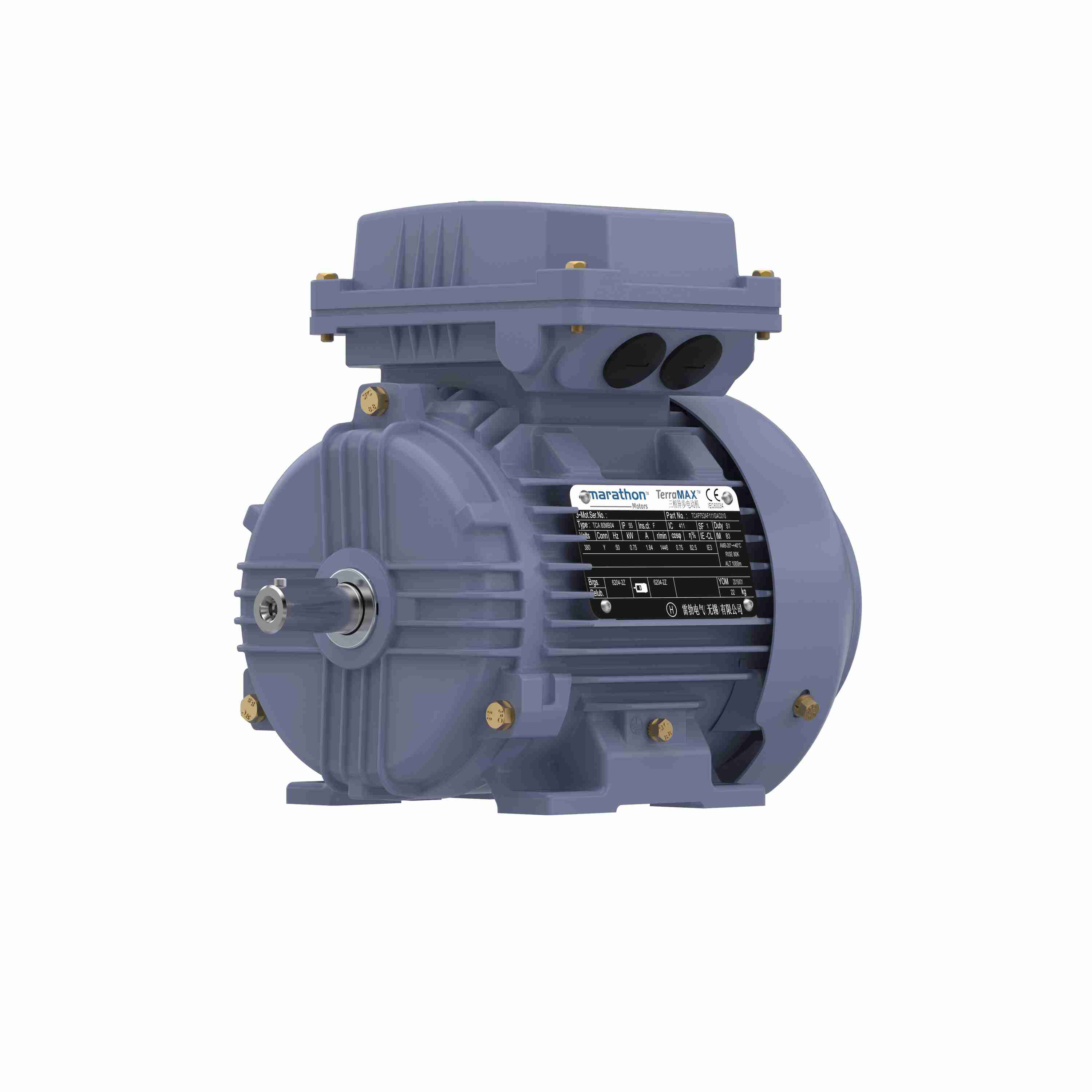 Marathon Electric Cast Iron Motor, 1 HP, 3 Ph, 50 Hz, 380 V, 3000 RPM, 80M Frame, TEFC
