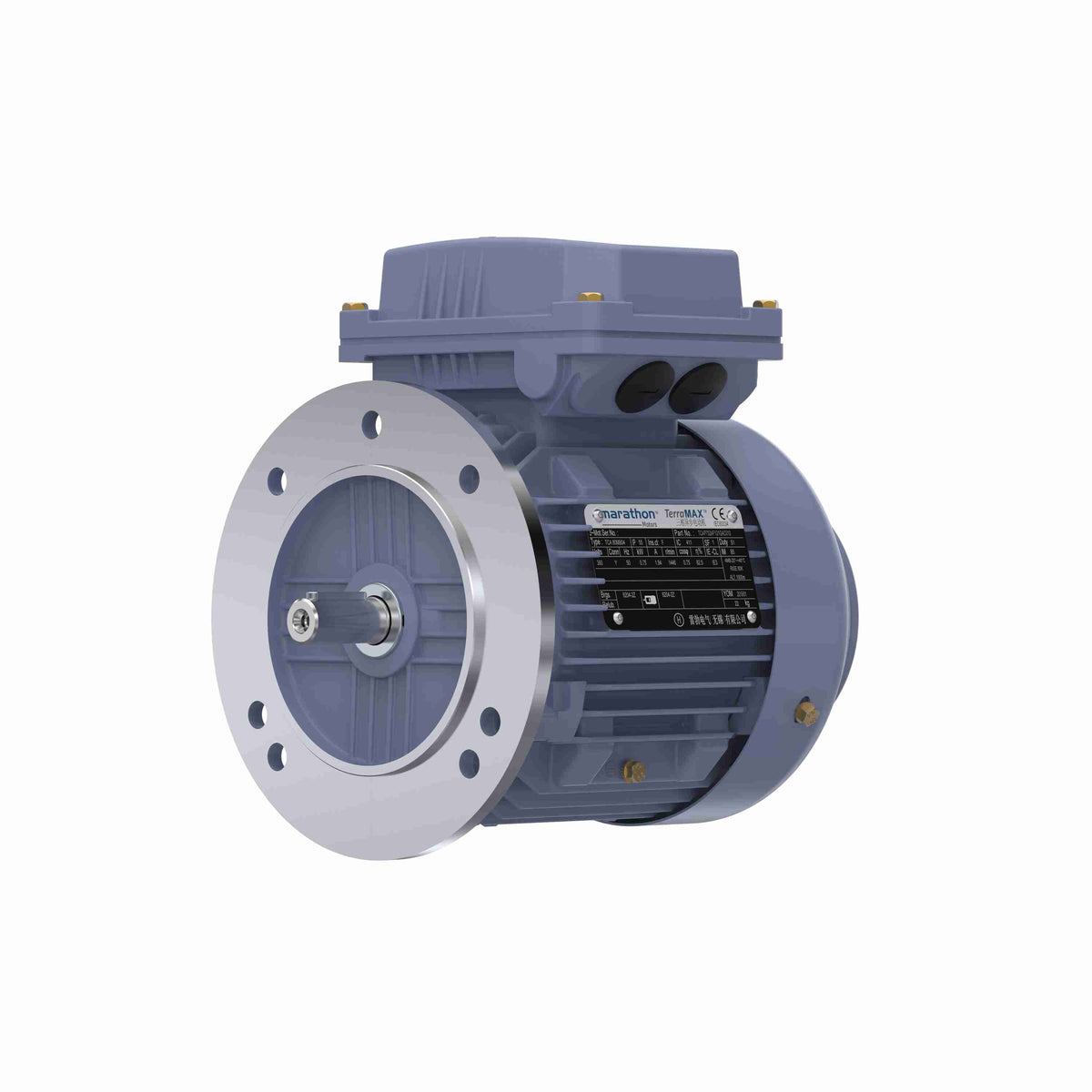 Marathon Electric Cast Iron Motor, 1.50 HP, 3 Ph, 50 Hz, 380 V, 3000 RPM, 80M Frame, TEFC