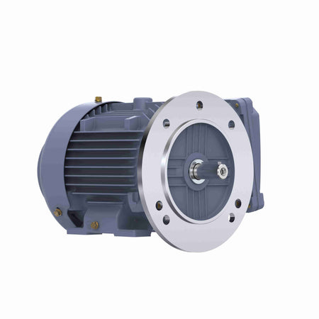 Marathon Electric Cast Iron Motor, 1 HP, 3 Ph, 50 Hz, 380 V, 1500 RPM, 80M Frame, TEFC