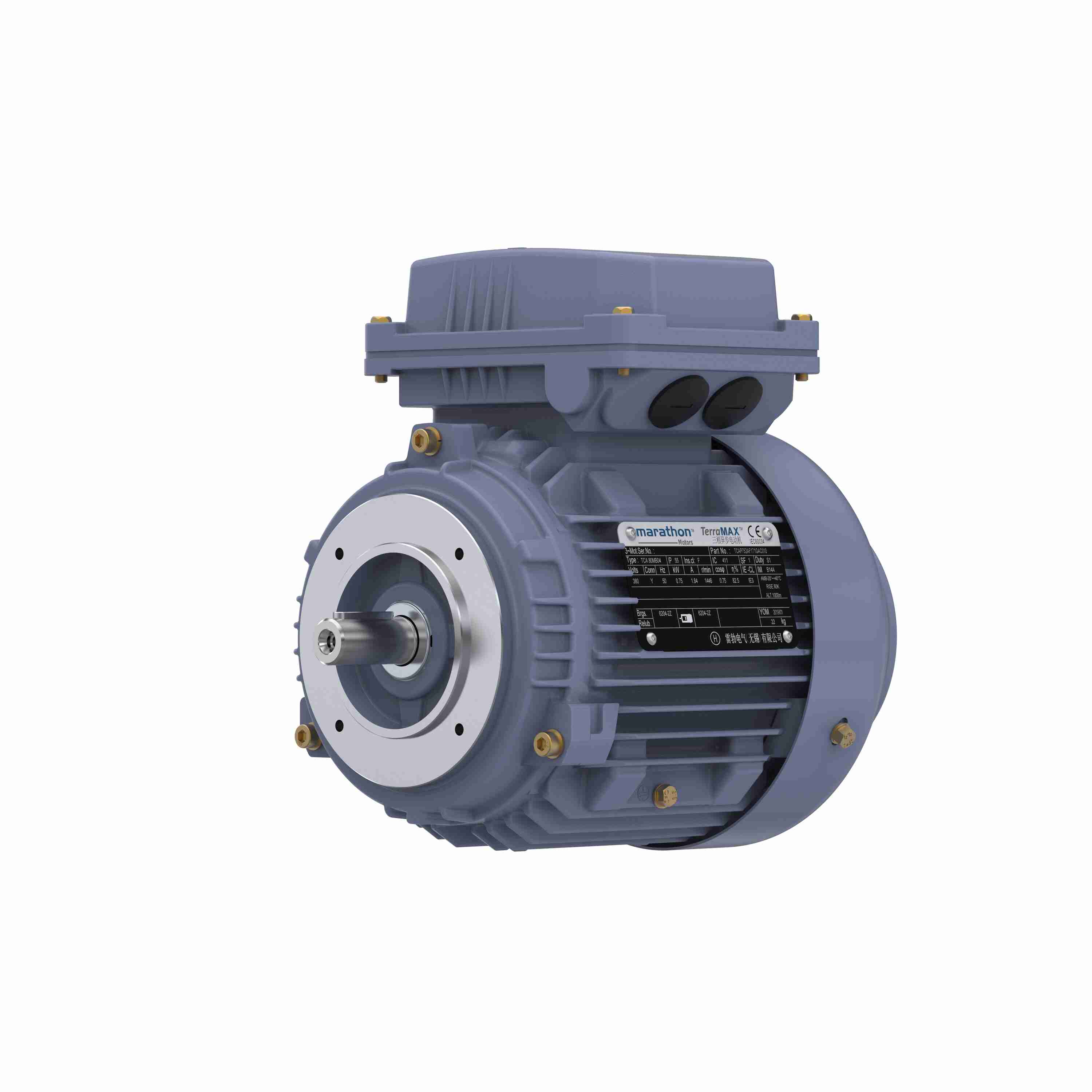 Marathon Electric Cast Iron Motor, 1 HP, 3 Ph, 50 Hz, 380 V, 3000 RPM, 80M Frame, TEFC