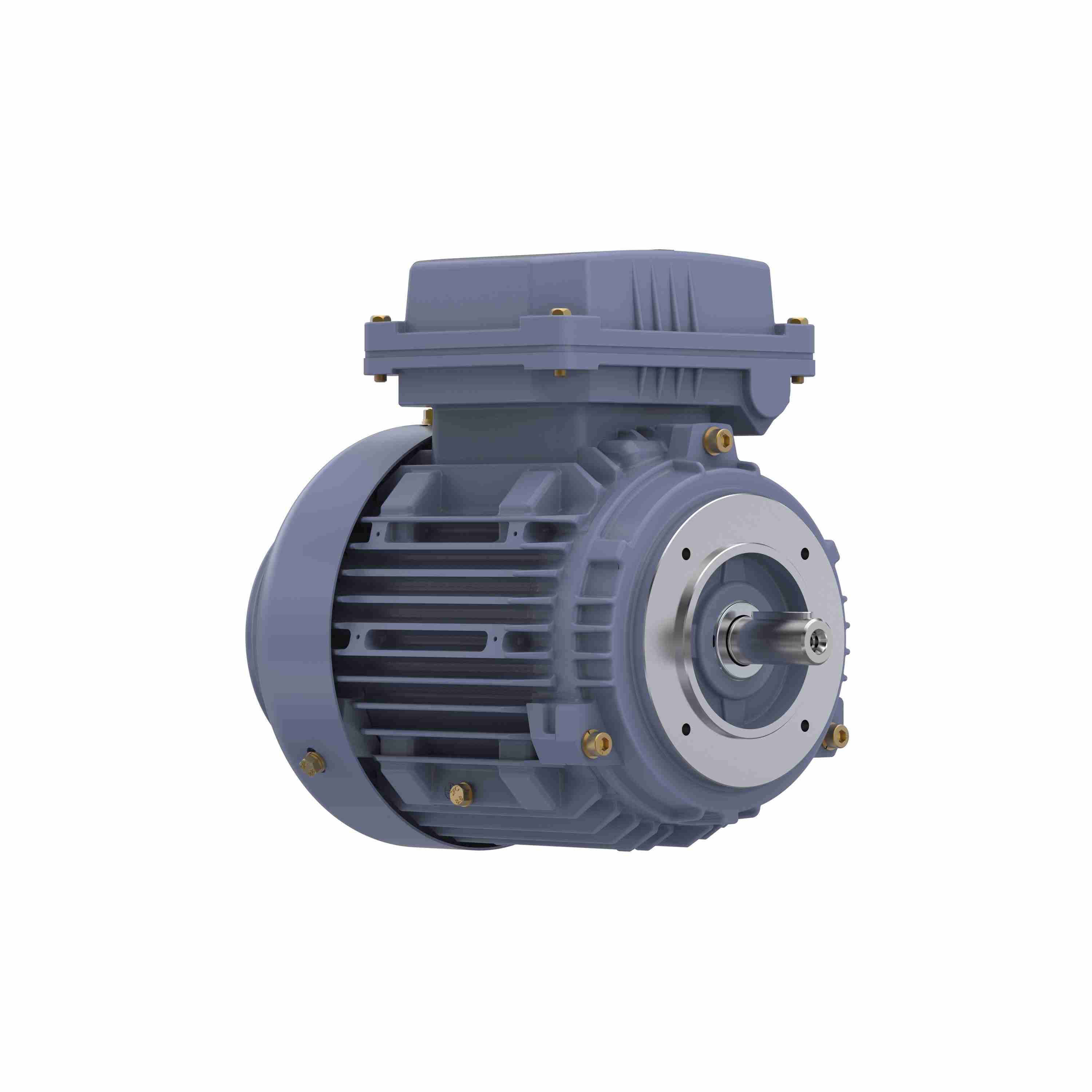 Marathon Electric Cast Iron Motor, 1 HP, 3 Ph, 50 Hz, 380 V, 1500 RPM, 80M Frame, TEFC