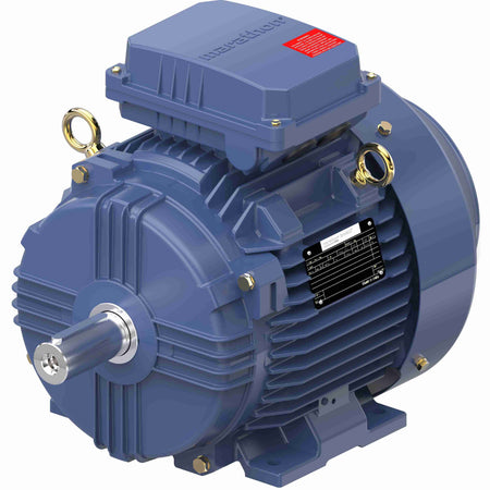 Marathon Electric Increased Safety Motors Ex eb, Totally Enclosed Fan Cooled, 10 HP, 3 Ph, 50 Hz, 400 V, 2938 RPM, 132S Frame