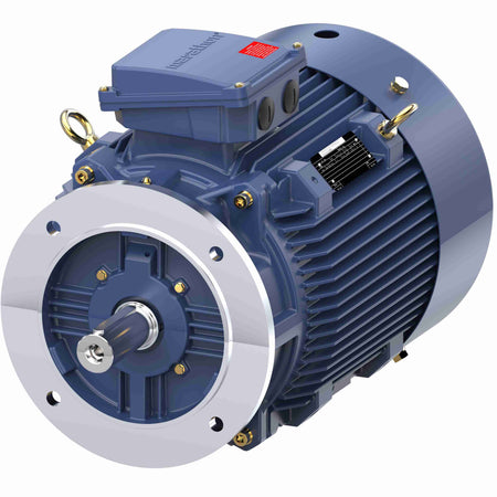 Marathon Electric Increased Safety Motors Ex eb, Totally Enclosed Fan Cooled, 15 HP, 3 Ph, 50 Hz, 400 V, 739 RPM, 180L Frame