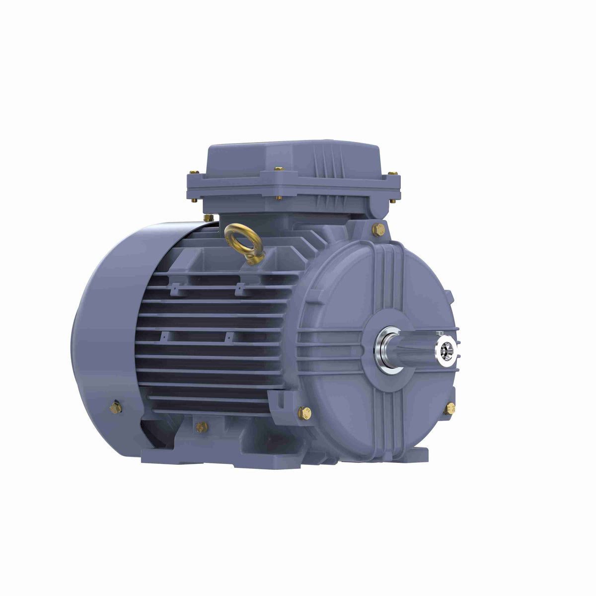 Marathon Electric Cast Iron Motor, 4 HP, 3 Ph, 50 Hz, 400 V, 3000 RPM, 100L Frame, TEFC