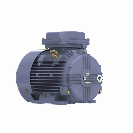 Marathon Electric Cast Iron Motor, 3 HP, 3 Ph, 50 Hz, 400 V, 1500 RPM, 100L Frame, TEFC