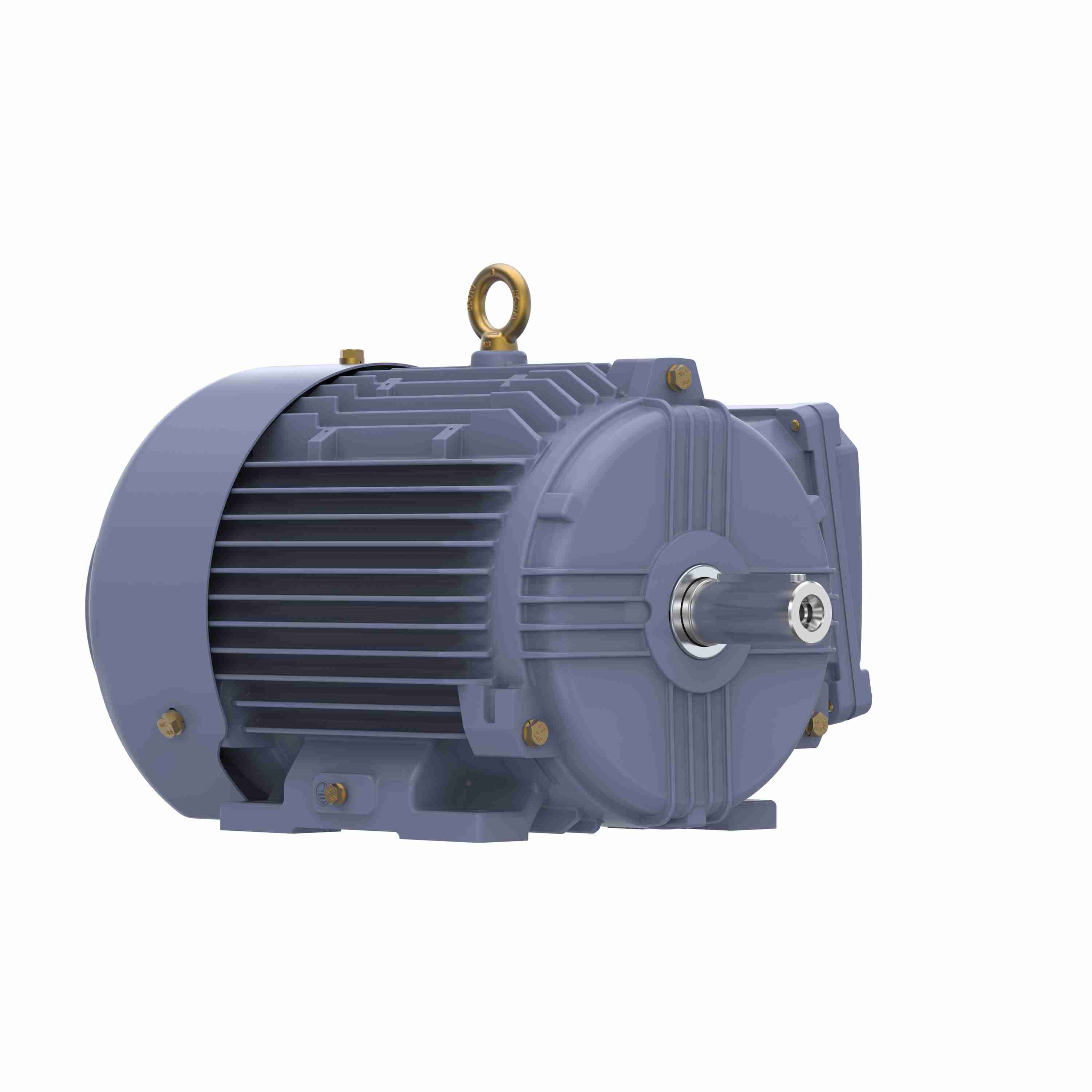 Marathon Electric Cast Iron Motor, 2 HP, 3 Ph, 50 Hz, 400 V, 1000 RPM, 100L Frame, TEFC