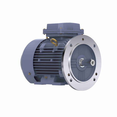 Marathon Electric Cast Iron Motor, 2 HP, 3 Ph, 50 Hz, 400 V, 1000 RPM, 100L Frame, TEFC