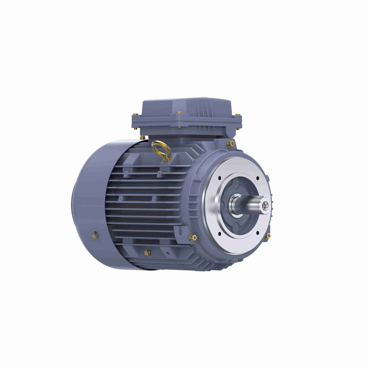 Marathon Electric Cast Iron Motor, 4 HP, 3 Ph, 50 Hz, 400 V, 3000 RPM, 100L Frame, TEFC