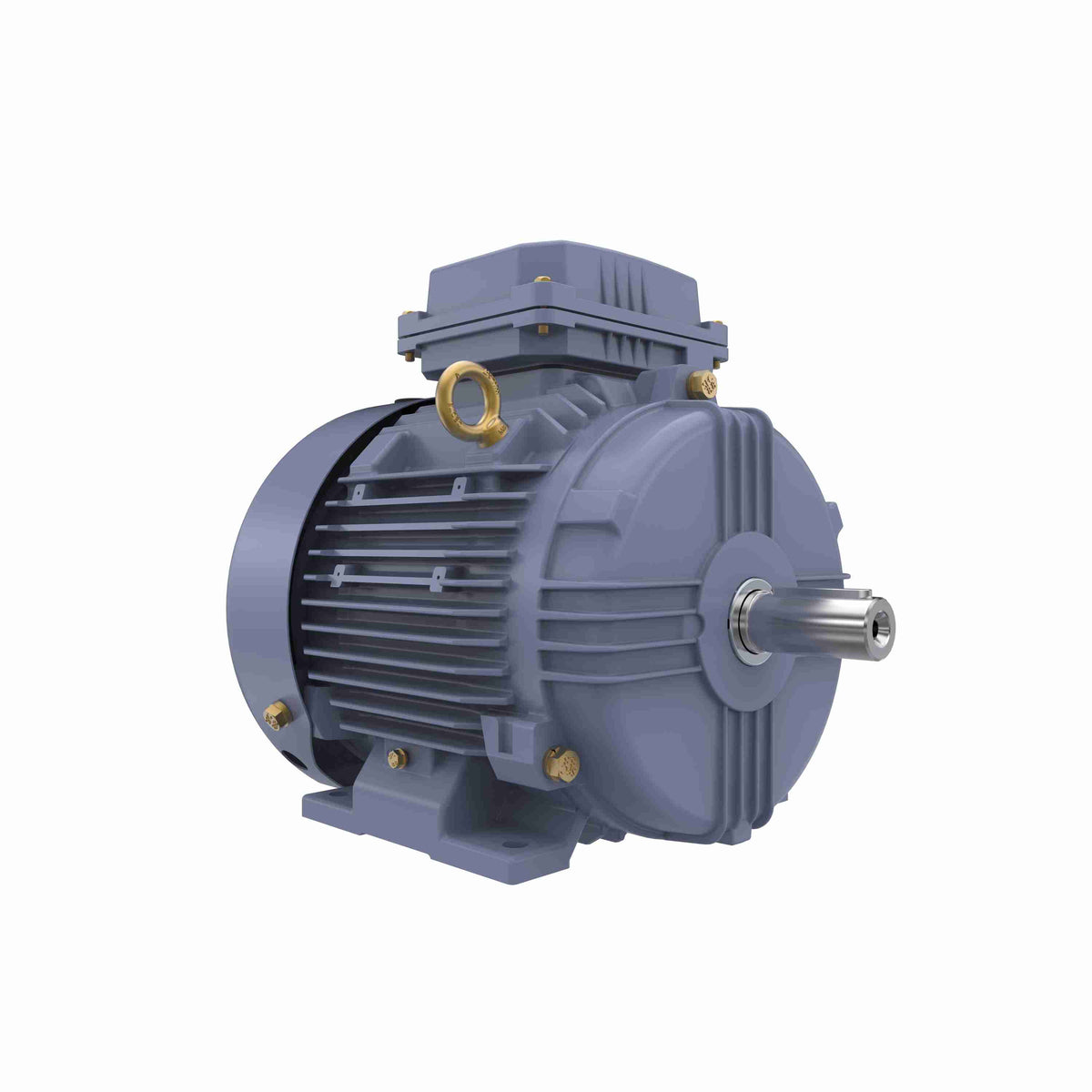 Marathon Electric Cast Iron Motor, 3 HP, 3 Ph, 50 Hz, 400 V, 1000 RPM, 112M Frame, TEFC