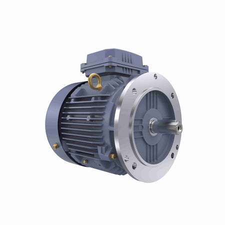 Marathon Electric Cast Iron Motor, 5.50 HP, 3 Ph, 50 Hz, 400 V, 1500 RPM, 112M Frame, TEFC