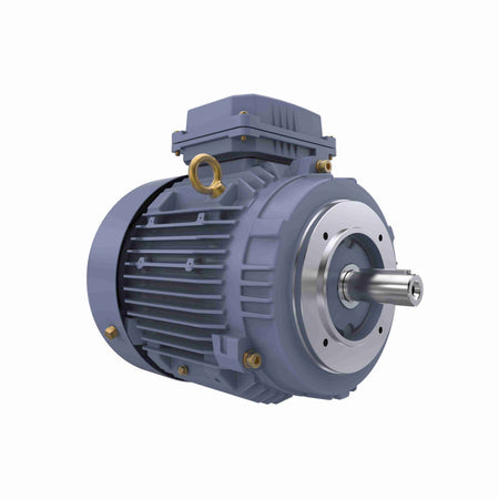 Marathon Electric Cast Iron Motor, 5.50 HP, 3 Ph, 50 Hz, 400 V, 3000 RPM, 112M Frame, TEFC