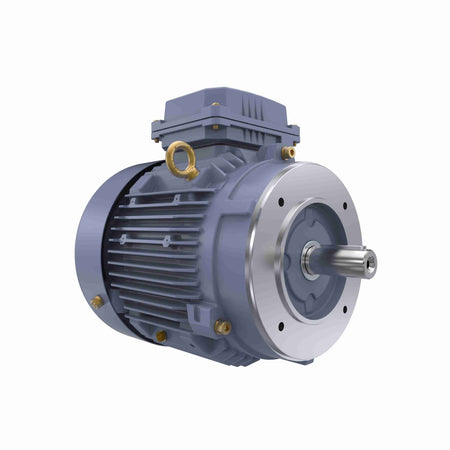 Marathon Electric Cast Iron Motor, 3 HP, 3 Ph, 50 Hz, 400 V, 1000 RPM, 112M Frame, TEFC