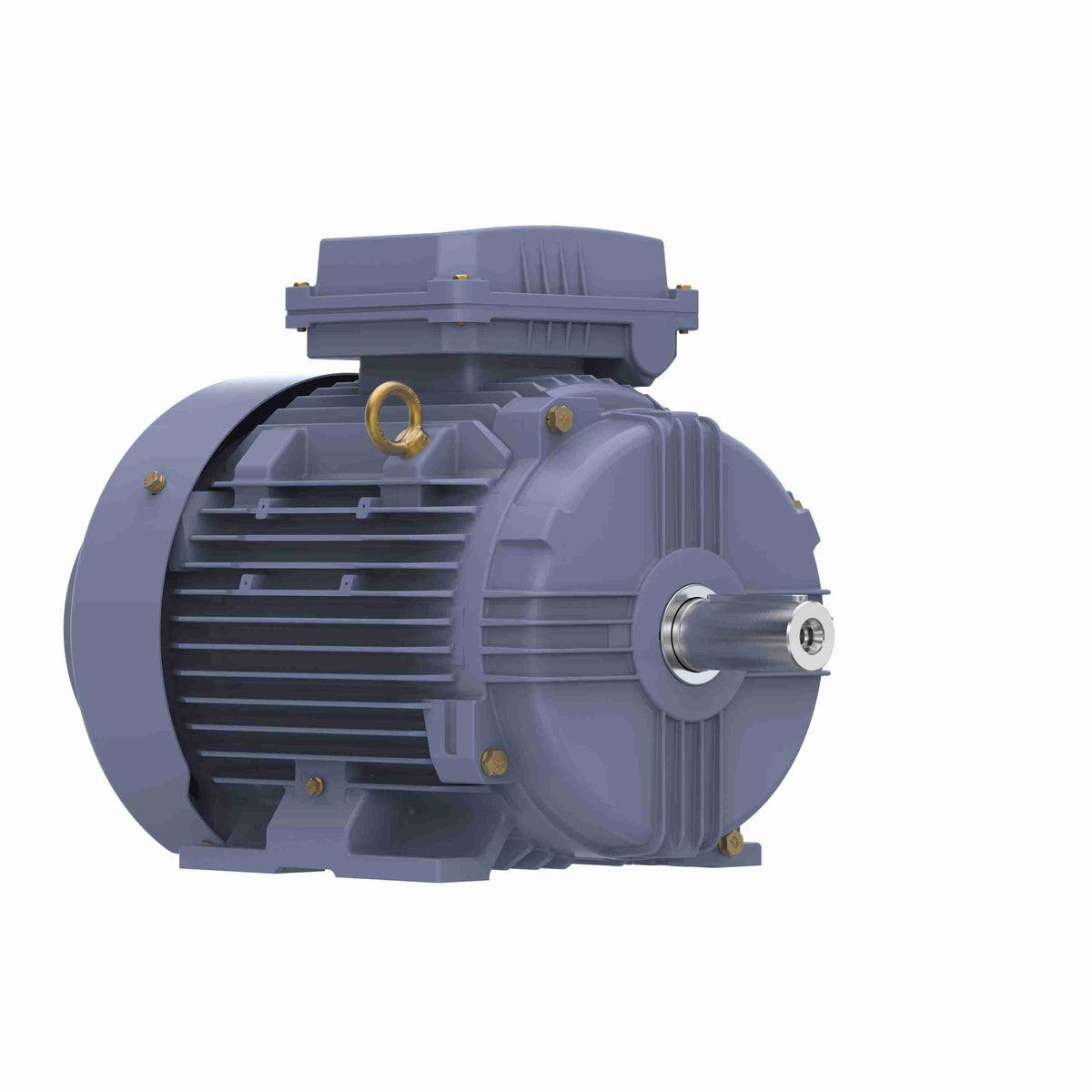 Marathon Electric Cast Iron Motor, 5.50 HP, 3 Ph, 50 Hz, 400 V, 1000 RPM, 132M Frame, TEFC