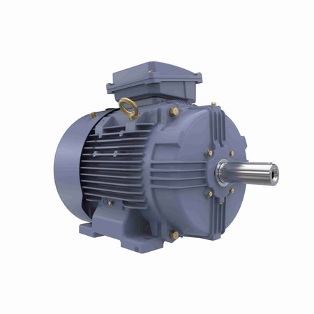 Marathon Electric Cast Iron Motor, 10 HP, 3 Ph, 50 Hz, 400 V, 1000 RPM, 160M Frame, TEFC