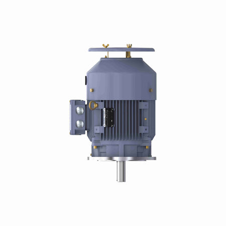 Marathon Electric Cast Iron Motor, 5.50 HP, 3 Ph, 50 Hz, 400 V, 750 RPM, 160M Frame, TEFC