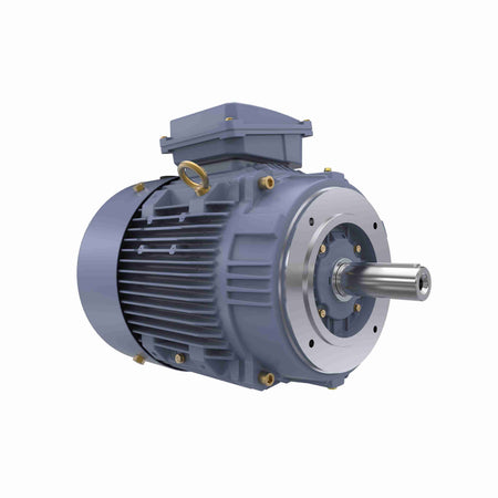 Marathon Electric Cast Iron Motor, 15 HP, 3 Ph, 50 Hz, 400 V, 1500 RPM, 160M Frame, TEFC