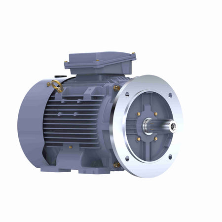 Marathon Electric Cast Iron Motor, 25 HP, 3 Ph, 50 Hz, 400 V, 3000 RPM, 160L Frame, TEFC
