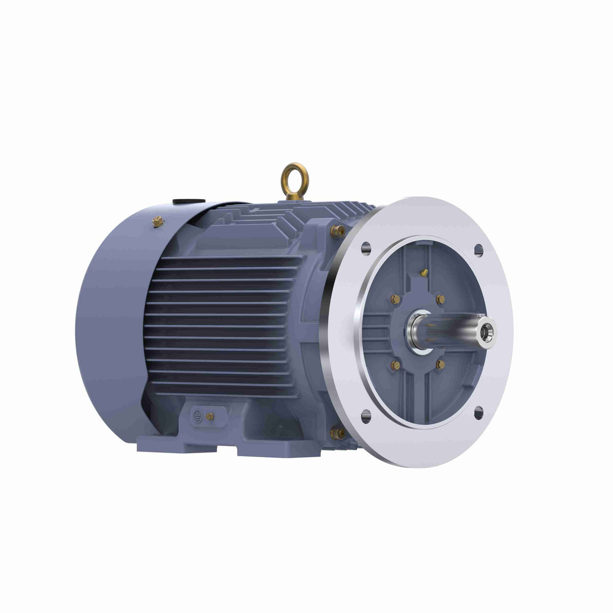 Marathon Electric Cast Iron Motor, 25 HP, 3 Ph, 50 Hz, 400 V, 3000 RPM, 160L Frame, TEFC