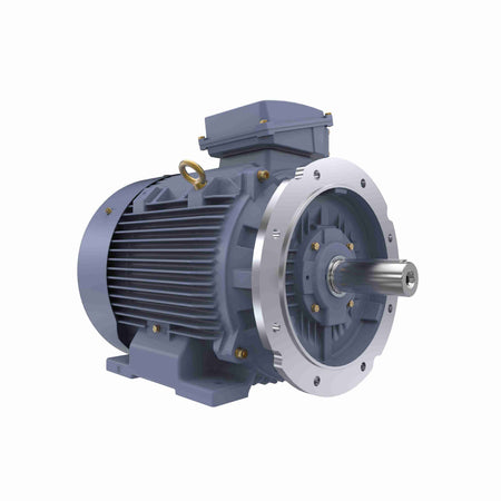Marathon Electric Cast Iron Motor, 50 HP, 3 Ph, 50 Hz, 400 V, 1500 RPM, 225S Frame, TEFC