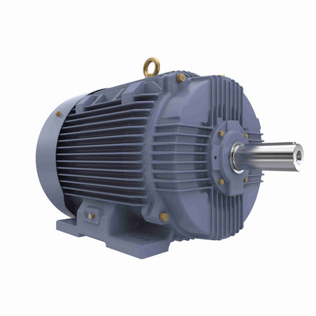 Marathon Electric Cast Iron Motor, 60 HP, 3 Ph, 50 Hz, 400 V, 3000 RPM, 225M Frame, TEFC
